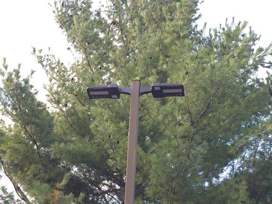 Retrofitted Double Head Pole to LED Light