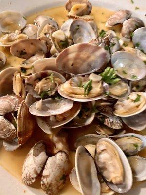 Clam Appetizer