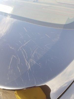 The scratches on my trunk that happened at Screaming Eagle on Madison st.