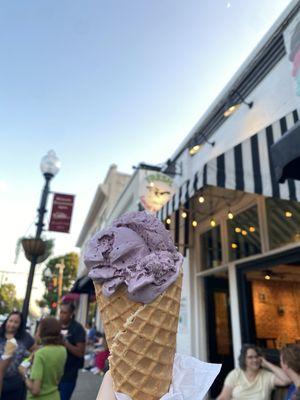 Blueberry Ice cream