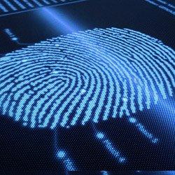 Live Scan Fingerprinting