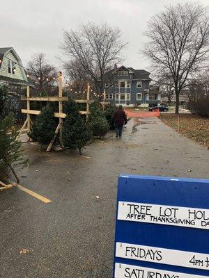 Sweet little tree lot in the city with fresh local trees.