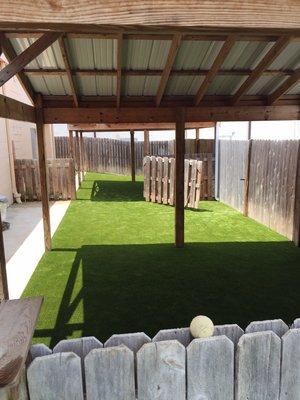 K9Grass by ForeverLawn at The Barker Shop in Springfield, MO.