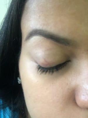 My beautiful Brows done by Pretty