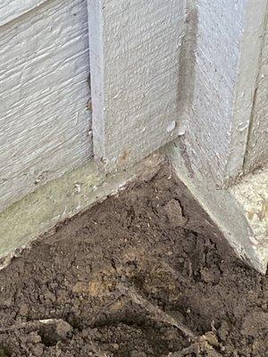 Termite mud tubes entering the house.