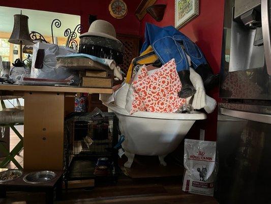 Tub in Kitchen