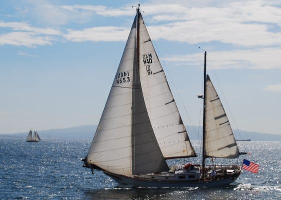 46 foot beautiful sailing yacht for you!