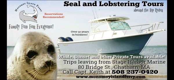 Come join us for our Seal and Lobstering tour or one of our other tours including Whale Watches, Sunset Cruises or your own private cruise.