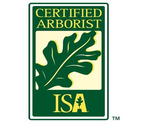 Wintergreen Horticulture Arboriculture