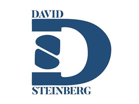 David I Steinberg Law Group