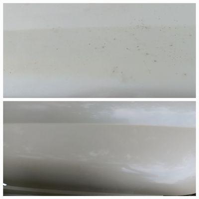 Mold/mildew spot removed!