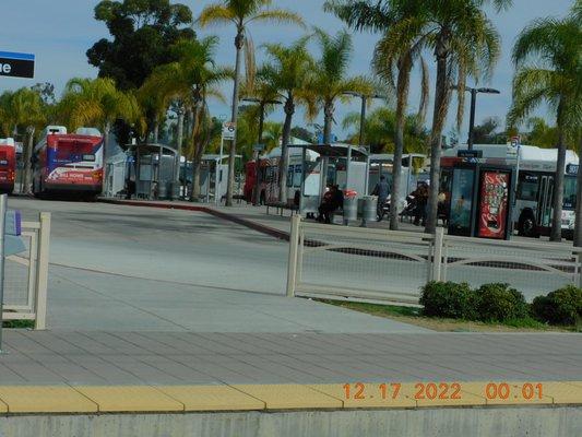 Iris Avenue transit bus area is to never to run and cut off a bus that can get you hit by a bus. Is wait over at the numbered stop.