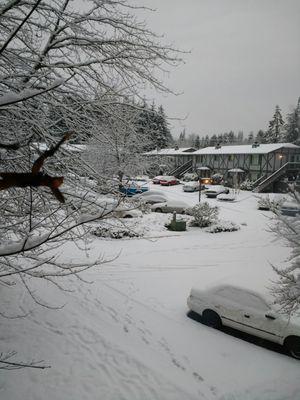 Cedar Terrace Apartments