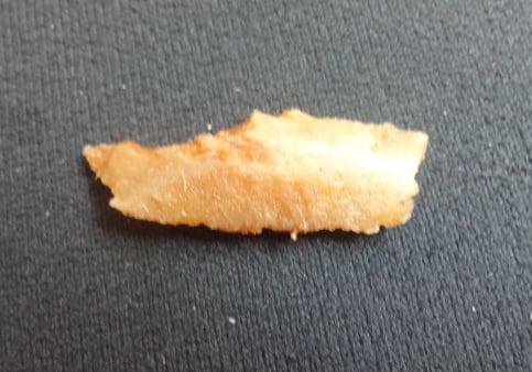 jagged piece of bone found in my Pulled pork, at Cafe on Temple in New Haven, CT.