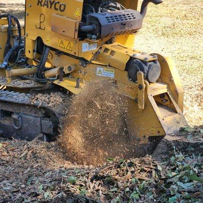 Tree Removal  Baton Rouge