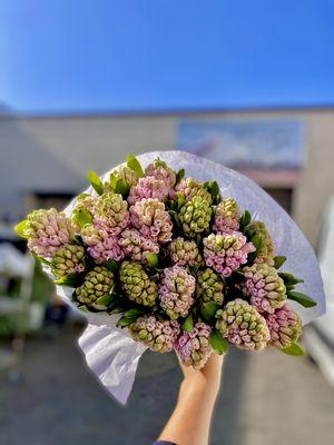 Imported hyacinth! Bunch is 5stems