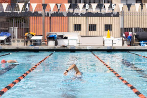 Aquatics - Lap Swim