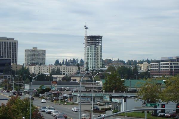 Bellevue Chiropractic Office