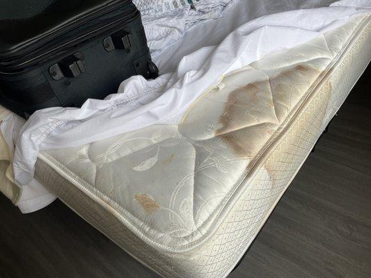 Blood stained mattress