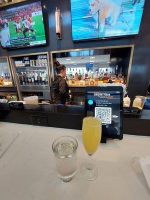 Mimosa before the 8 hours flight