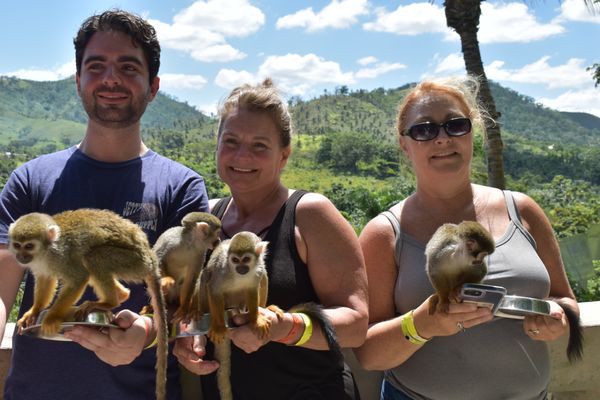 Stouts Travel in the jungle of the Dominican Republic on an adult family vacation