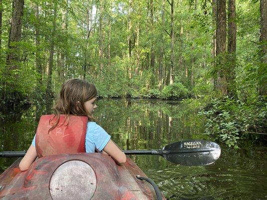 Kayaks rented from Tar River Life at Robertson Millpond Preserve