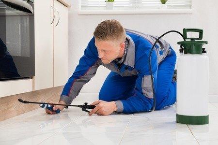 Kalamazoo Pest Control Pros