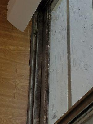 Mold on sliding door