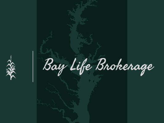 Bay LIfe Logo