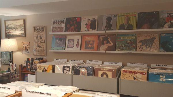 Specializing in vinyl (4/8/22)