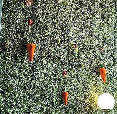 Funky astroturf wall with paper carrots