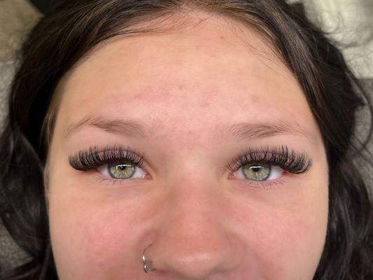 hybrid lash