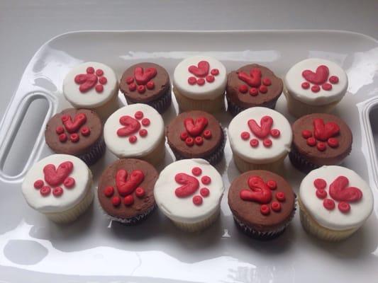 Reception Jaguar paw cupcakes