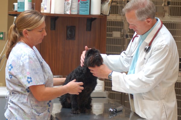 Dr. Klarquist performing an examination, with Trish helping.