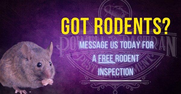 Powell and Pastran Pest Management offers free rodent inspections for both residential and commercial properties. Don't wait, call today!