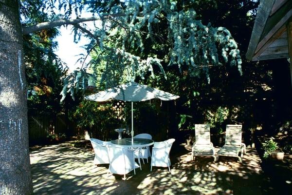 Wilkes Street Apartment Courtyard