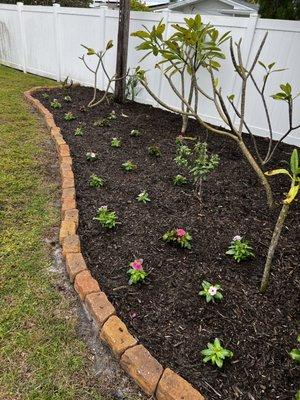 Vinca Flowers Added to Chocolate Brown Mulch Installation Service