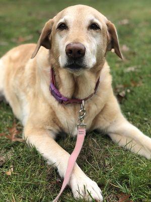 Bonny taking a quick moment to pose for the camera.