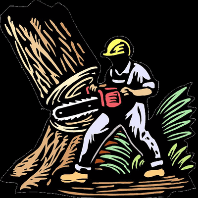 Timber Tree Care