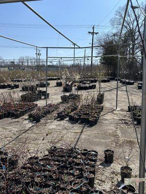 Knoxville Seed & Greenhouse Supply