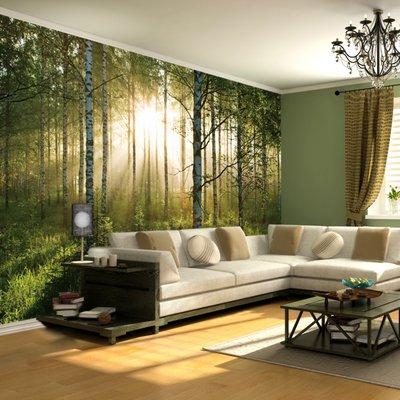 Wall Murals