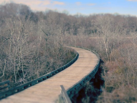 Chesapeake Bay Critical Area Tour