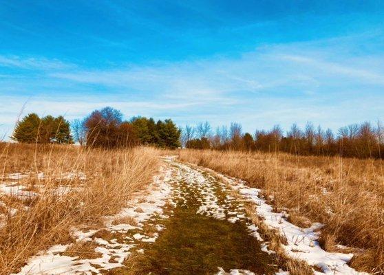 Gwynedd Preserve