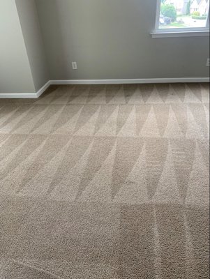 carpet cleaning Greensboro NC