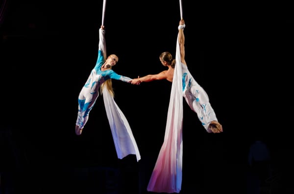 Davangie performing an aerial silk duet at the Moscow International Circus