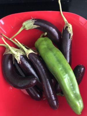 Eggplants and pepper