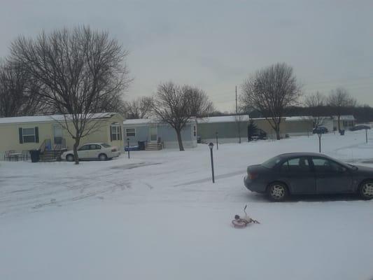 Snowy pic of my street.