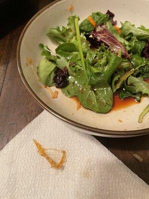 Salad with a piece of plastic that was found in it