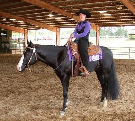 Western Pleasure Horses for Sale