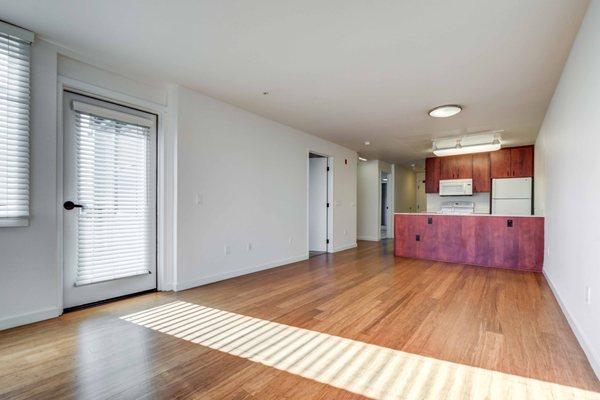 Living Room and Kitchen